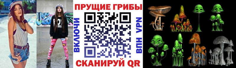 Галлюциногенные грибы ЛСД  Купить  Богородицк 